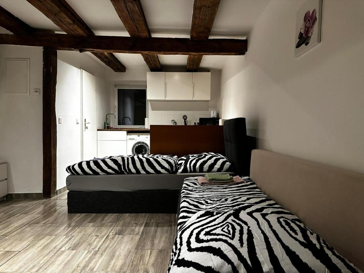 Nice Studio In Pankow Берлин Экстерьер фото